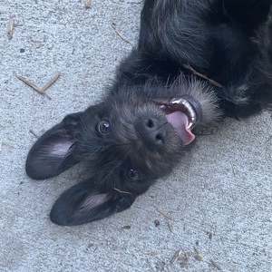 Fundraising Page: Jillian Everett